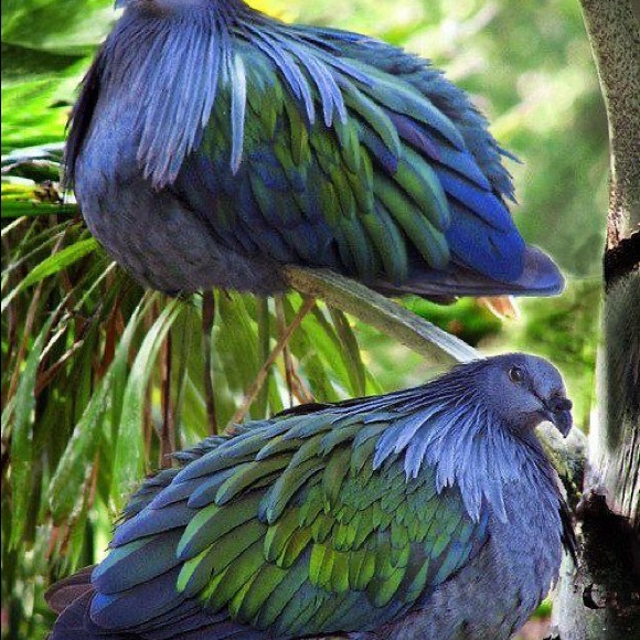 😍Bundle up your likes 😍 - Picture 5 of 16